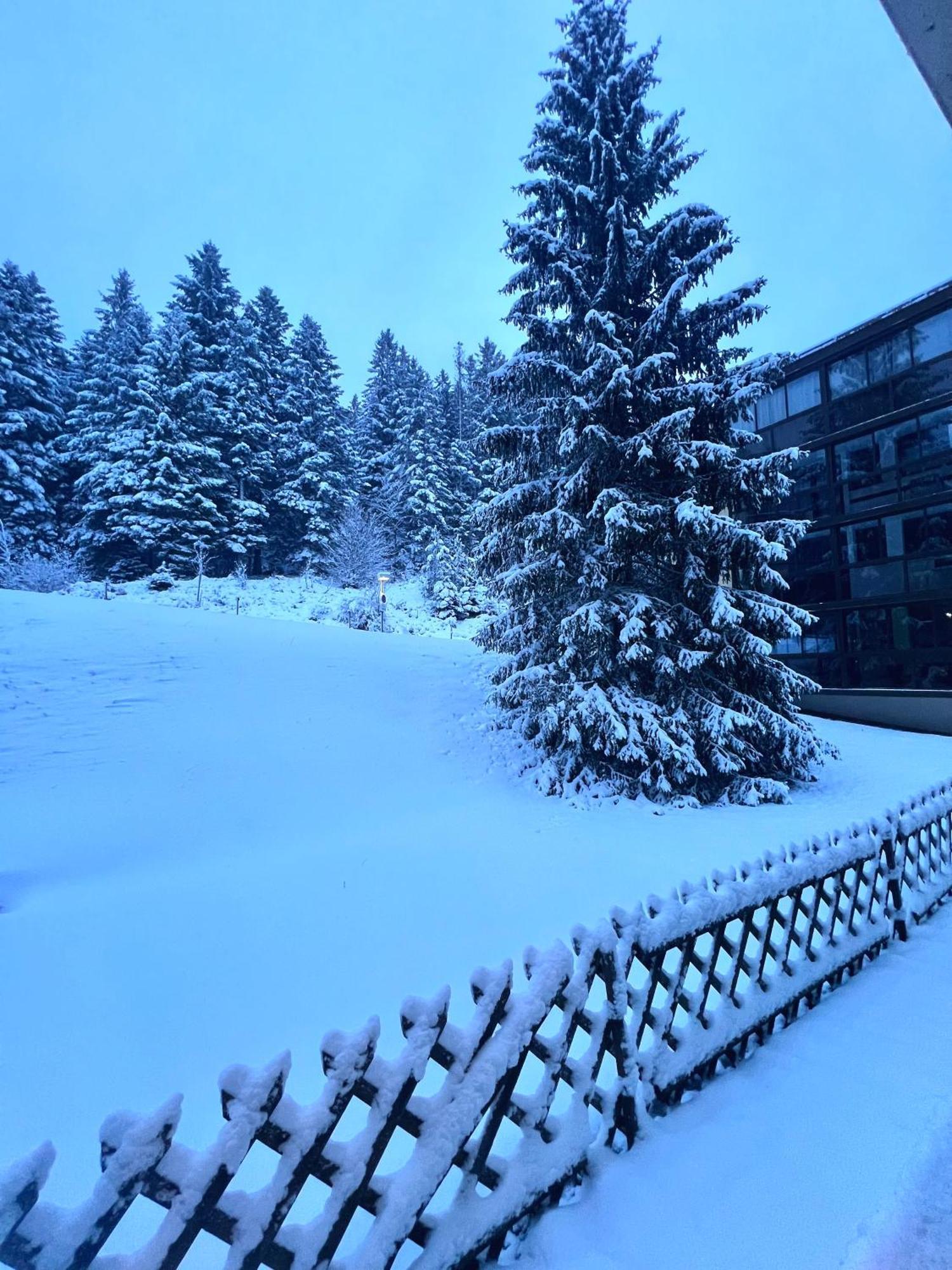 Ma Montagne Chic 4 Daire La Bresse Dış mekan fotoğraf